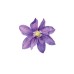 INV-Apr-May2026