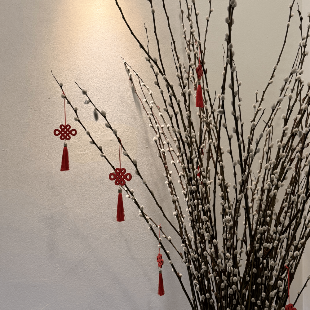 Auspice Willow