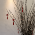 Auspice Willow