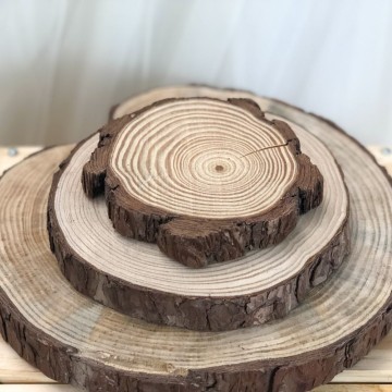 Log Slices