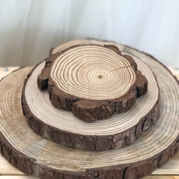 Log Slices