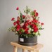 New Born Baby Flowers