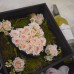 Flower Hampers