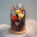 Flower Gift Boxes & Flower Baskets
