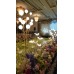 Wedding Reception Decoration Services