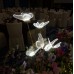 Wedding Reception Decoration Services