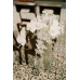 Wedding Reception Decoration Services