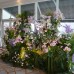 Wedding Reception Decoration Services