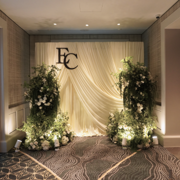 Drape Backdrop VI