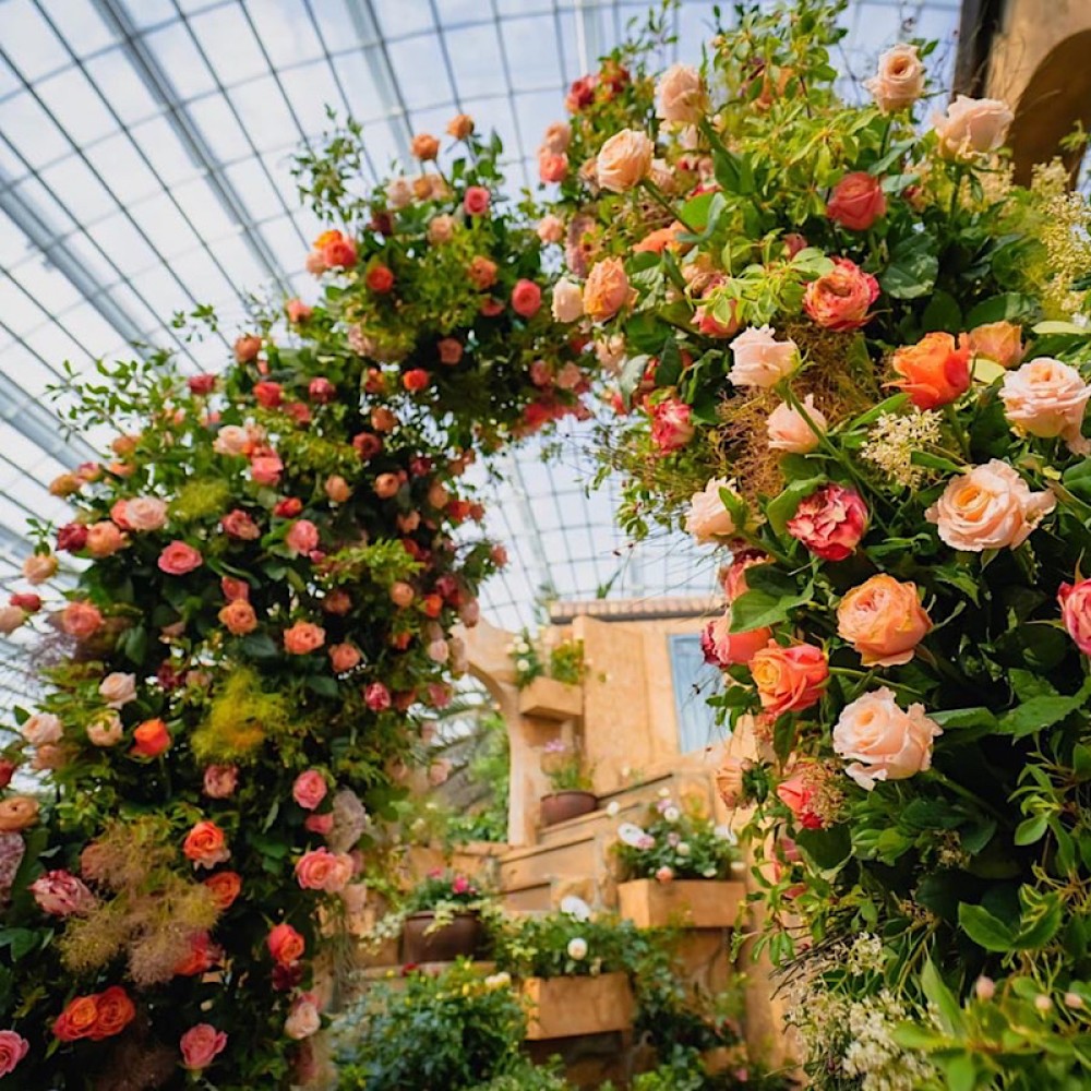 Floral Arch