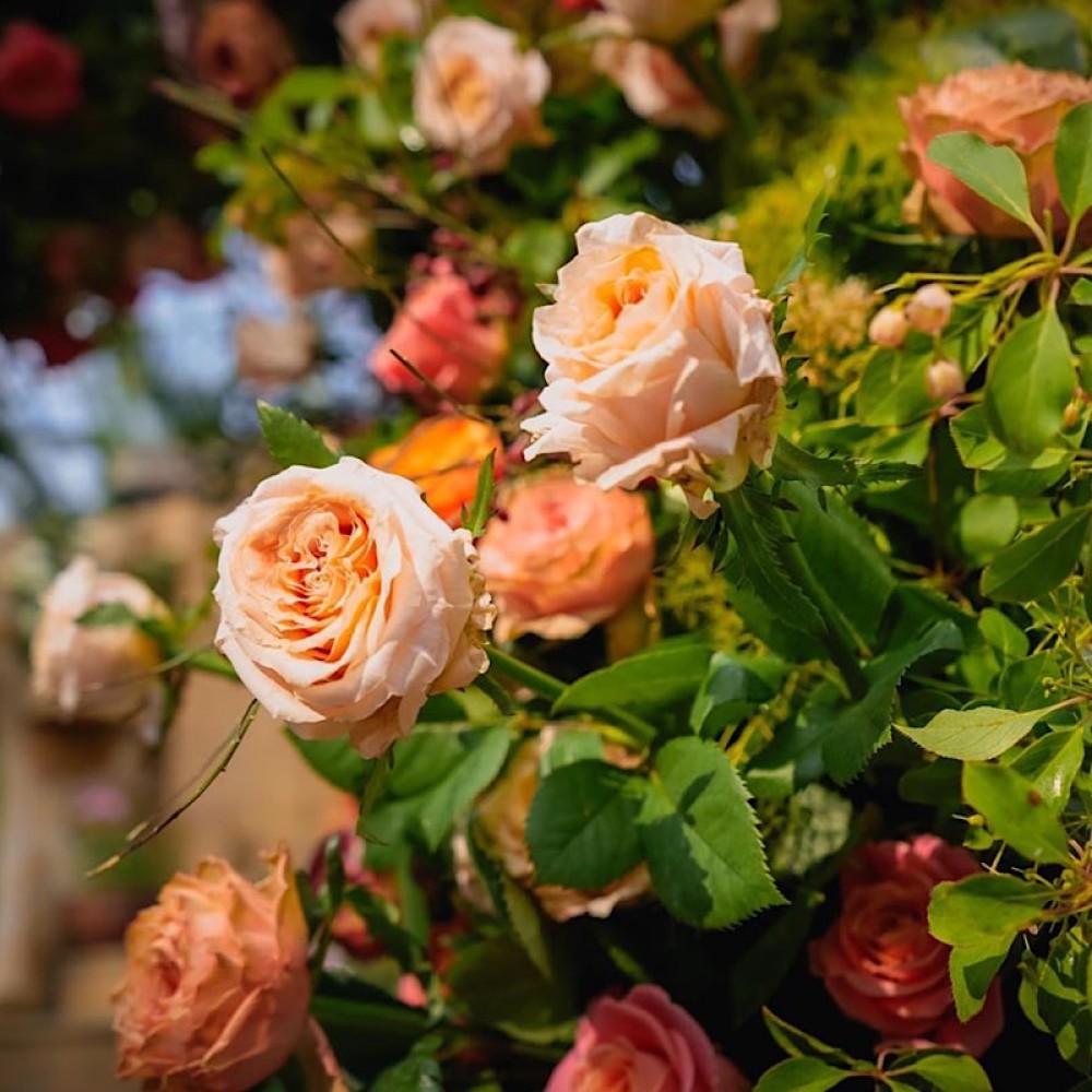 Floral Backdrops