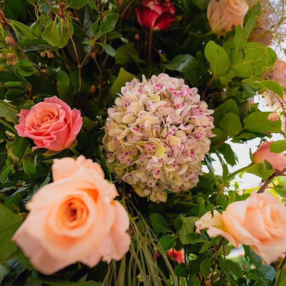 Floral Backdrops