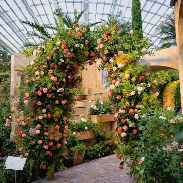 Fresh Flower Arch