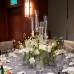Wedding Reception Decoration Services