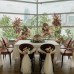 Wedding Reception Decoration Services