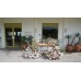 Reception Table Styling