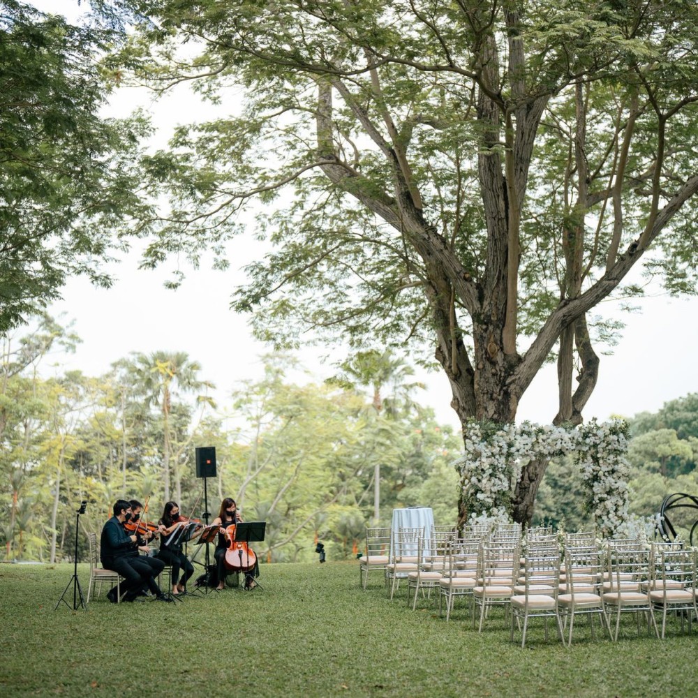 Floral Backdrops