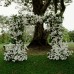 Floral Backdrops