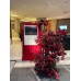 Wedding Reception Decoration Services