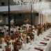 Wedding Reception Decoration Services