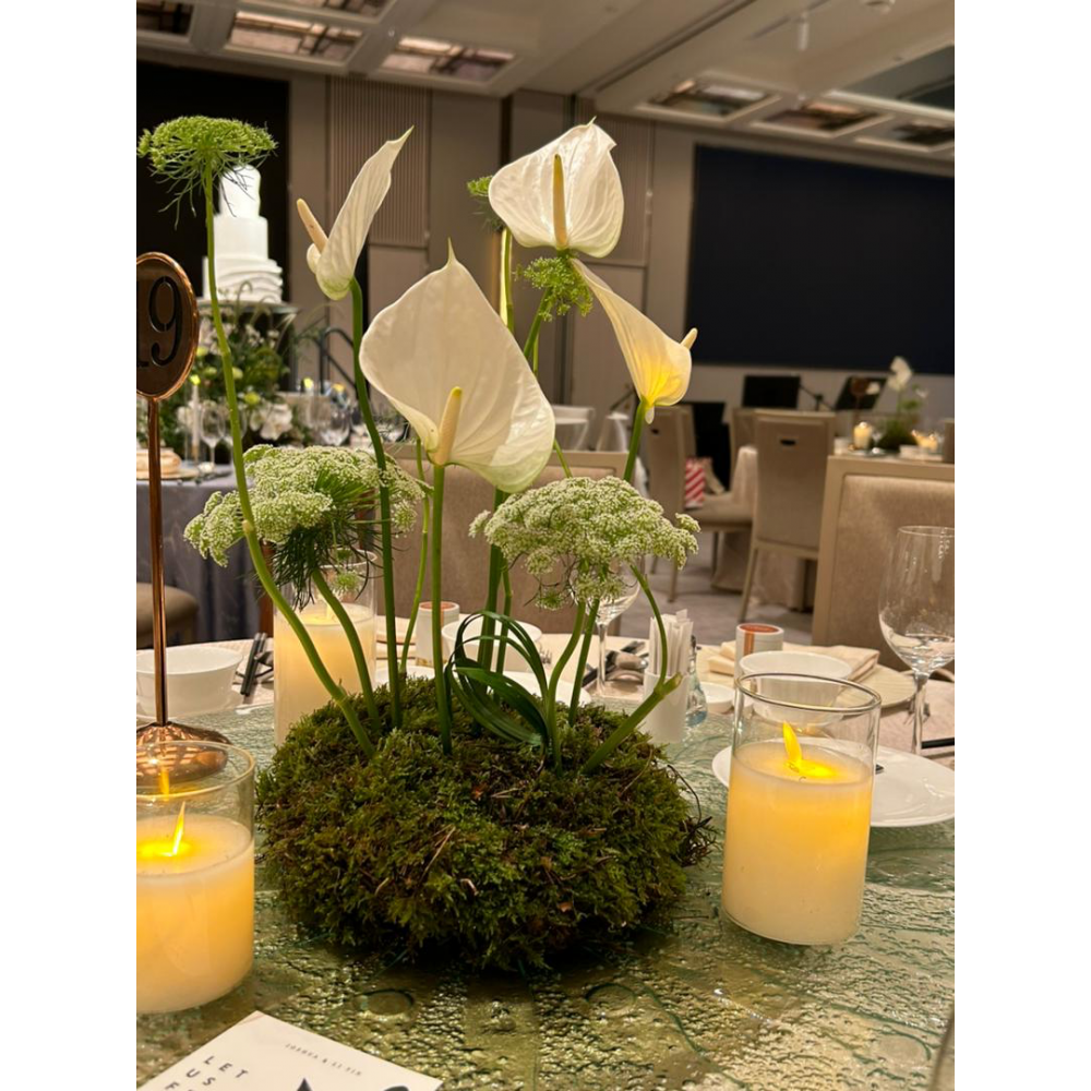 Wedding Reception Decoration Services