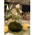 Wedding Reception Decoration Services