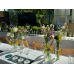 Wedding Reception Decoration Services