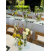 Wedding Reception Decoration Services