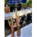 Wedding Reception Decoration Services