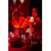 Floral Backdrops