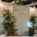 Floral Backdrops