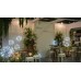 Floral Backdrops
