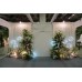 Floral Backdrops