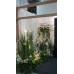 Floral Backdrops