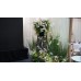 Floral Backdrops