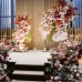 Photo Backdrop / Stage décor