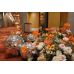 All Venues