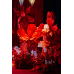 Wedding Reception Decoration Services