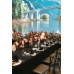 Hotels