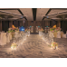 Wedding Reception Decoration Services