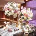 Hotels