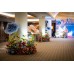 Hotels Hotels
