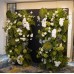 Floral Backdrops