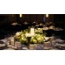 Wedding Reception Decoration Services
