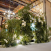 Wedding Reception Decoration Services