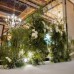 Floral Backdrops