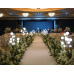 Wedding Reception Decoration Services