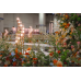 Wedding Reception Decoration Services
