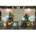 Floral Backdrops