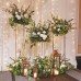 Wedding Reception Decoration Services